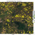 EAGLE Master Defense: Enhancing Land Cover Classification in Southern Africa Using Multi-Sensor and Multi-Algorithm Approaches