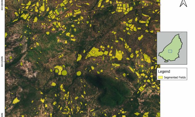 EAGLE Master Defense: Enhancing Land Cover Classification in Southern Africa Using Multi-Sensor and Multi-Algorithm Approaches
