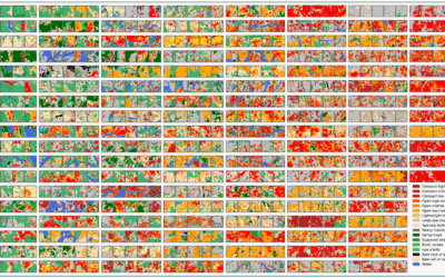 New publication on universal patterns of intra-urban morphology