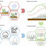 upcoming PhD defense by Adomas Liepa