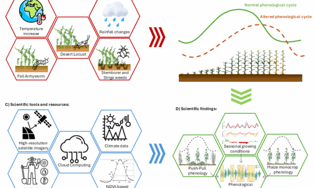 upcoming PhD defense by Adomas Liepa