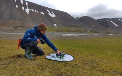Exploring Arctic Vegetation Patterns: PhD Fieldwork on Svalbard