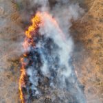 Mapping Fire from the Sky – Anna Bischof’s MSc Thesis on Savanna Fire Patterns