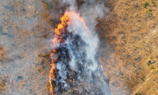Mapping Fire from the Sky – Anna Bischof’s MSc Thesis on Savanna Fire Patterns