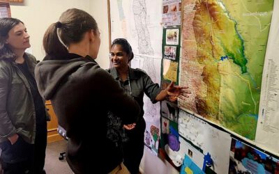 Exploring Future Collaborations on Fire Research in African Savannas