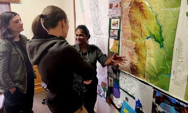Exploring Future Collaborations on Fire Research in African Savannas