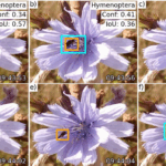 New paper on automated pollinator monitoring using time-lapse images