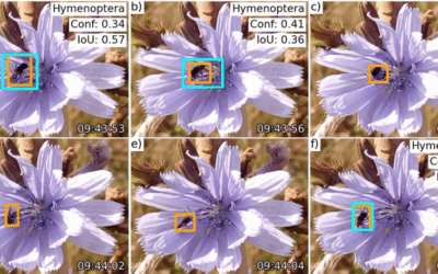 New paper on automated pollinator monitoring using time-lapse images