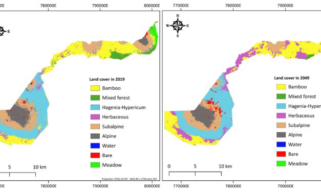 EAGLE MSc Defense “Utilizing deep learning and Earth Observation data to predict land cover changes in Volcanoes National Park, Rwanda”