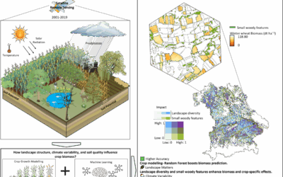 New Publication: How Landscape Structure, Climate Variability, and Soil Quality Shape Crop Biomass in Bavaria’s Agricultural Ecosystems