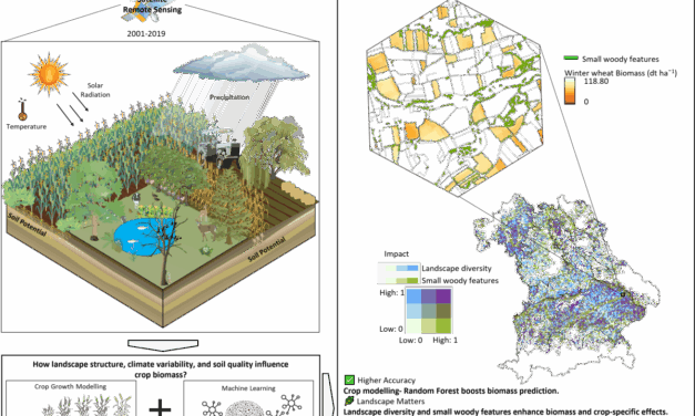 New Publication: How Landscape Structure, Climate Variability, and Soil Quality Shape Crop Biomass in Bavaria’s Agricultural Ecosystems