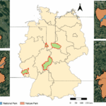 How the European Wildcat Conservation can help strengthen Nature’s Contributions to People
