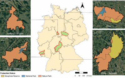How the European Wildcat Conservation can help strengthen Nature’s Contributions to People