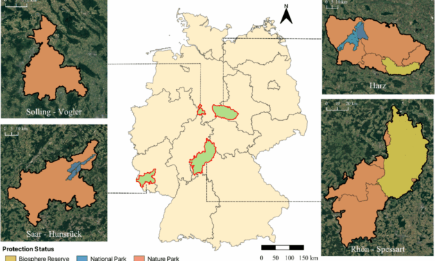 How the European Wildcat Conservation can help strengthen Nature’s Contributions to People