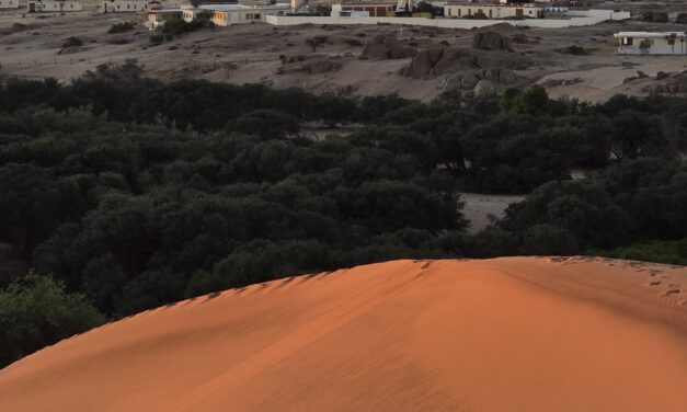 EAGLE Internship Presentation “Gobabeb Namib Research Institute”