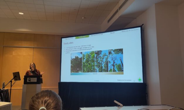 Contribution at SilviLaser Conference in Quebec