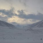High Arctic field work in Bjørndalen (Svalbard)