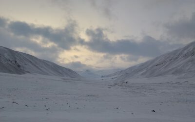 High Arctic field work in Bjørndalen (Svalbard)