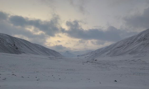 High Arctic field work in Bjørndalen (Svalbard)
