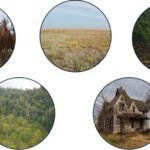 Studying Land-use Transitions: Revealing Patterns, Drivers and Implications of Global Farmland Abandonment