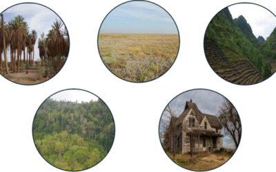 Studying Land-use Transitions: Revealing Patterns, Drivers and Implications of Global Farmland Abandonment