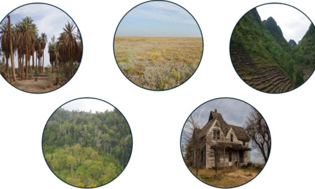 Studying Land-use Transitions: Revealing Patterns, Drivers and Implications of Global Farmland Abandonment