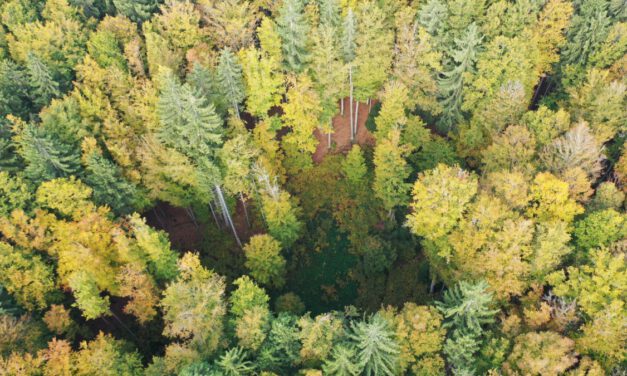 HABITRACK: New Project for Predicting Vector-Borne Diseases