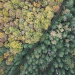 HABITRACK: Neues Projekt zur Vorhersage vektorübertragener Krankheiten