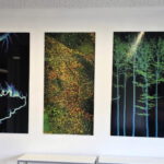 A Glimpse into Our Research: Data on Display in the Foyer