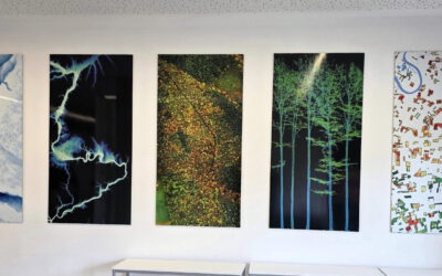 A Glimpse into Our Research: Data on Display in the Foyer