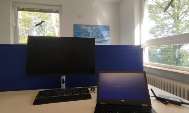 EAGLE Internship Presentation “Detecting Wildfires in Brandenburg, Germany