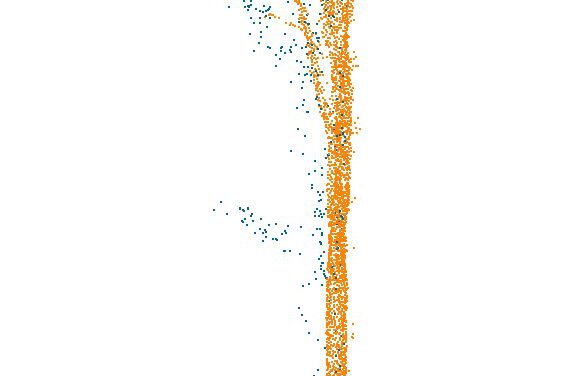 Master Thesis Defense: „Comparing LiDAR-Based Acquisition Strategies for Forest Management Planning in a Mature Beech Stand”