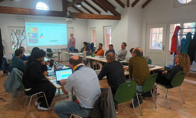 Participation in the 2nd RGV Intercomparison workshop