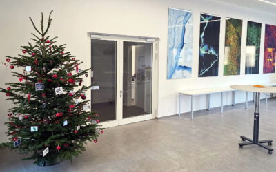 🎄 A Gentle Touch of Christmas in the Foyer