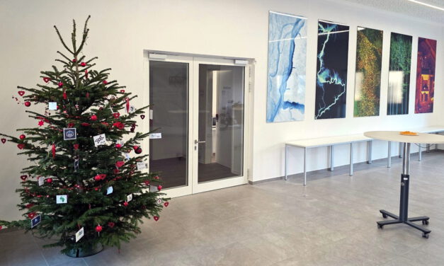 🎄 A Gentle Touch of Christmas in the Foyer