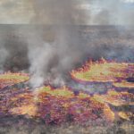 New Earth Observation Project on Thermal Satellite Data