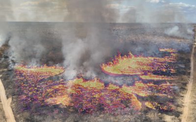 New Earth Observation Project on Thermal Satellite Data