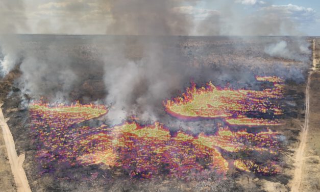 New Earth Observation Project on Thermal Satellite Data