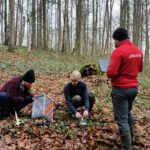 Christmas vibes in the University Forest