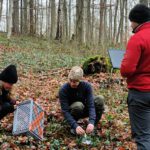 Christmas vibes in the University Forest