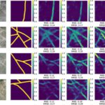 New publication: Mapping animal paths using drones and deep learning