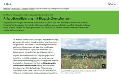 Remote sensing insights into biogas flowering mixtures