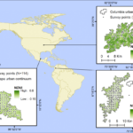 New publication: Does NDVI explain patterns of urban bird diversity? Insights from temperate to tropical cities