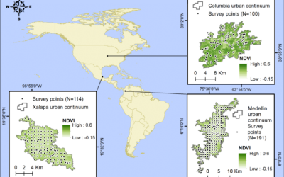 New publication: Does NDVI explain patterns of urban bird diversity? Insights from temperate to tropical cities