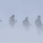 Learning Earth Observation Data Acquisition in Real-World Conditions