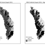 EAGLE Innolab Presentation: “Gap-Filling Optical NDVI Using SAR-Derived Indices and Machine Learning”