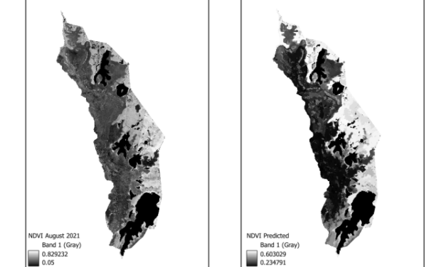 EAGLE Innolab Presentation: “Gap-Filling Optical NDVI Using SAR-Derived Indices and Machine Learning”