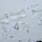 From Satellites to Snow Angels