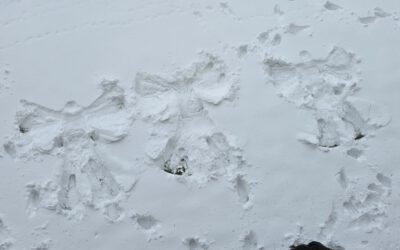 From Satellites to Snow Angels