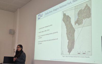 Gap-Filling Optical NDVI Using Sentinel-1 SAR–Derived Indices and Machine Learning